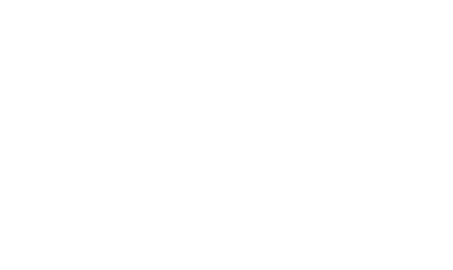 patricia lauzes foulards de soie