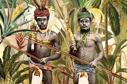 homme dans la jungle