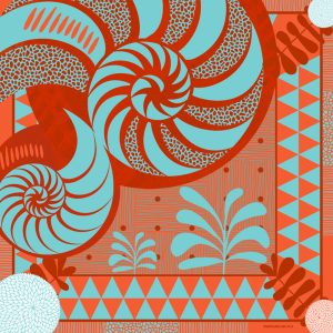 Foulard Graphic nautile